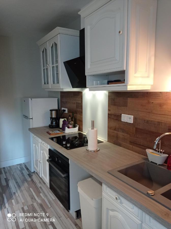 Grand Appartement 4 Etoiles A 800M De La Mer 생말로 외부 사진
