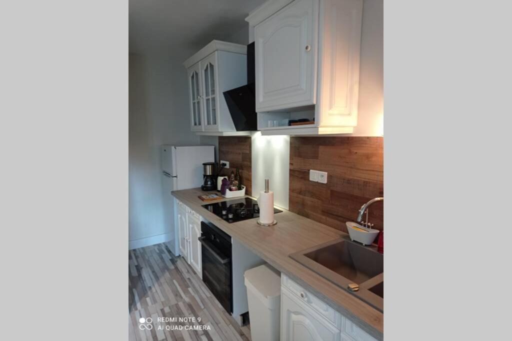Grand Appartement 4 Etoiles A 800M De La Mer 생말로 외부 사진